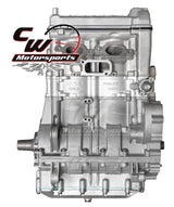 CW Motorsports Remanufactured Engine, Polaris RZR XP 900