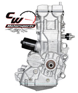 CW Motorsports Remanufactured Engine, Polaris RZR XP 900