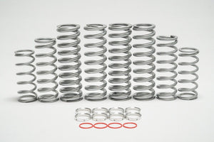 Honda Talon Dual Rate Spring Kit