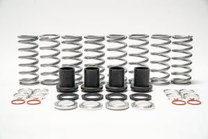 Polaris RZR 900 Trail / XC Dual Rate Spring Kit