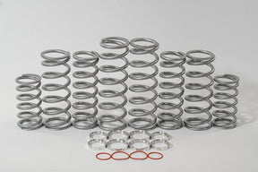 Photo of Polaris RZR XP 1000 / XP Turbo Dual Rate Spring Kit by Shock Therapy - Premium Dual Rate Spring Kits for UTVs / Side by Sides