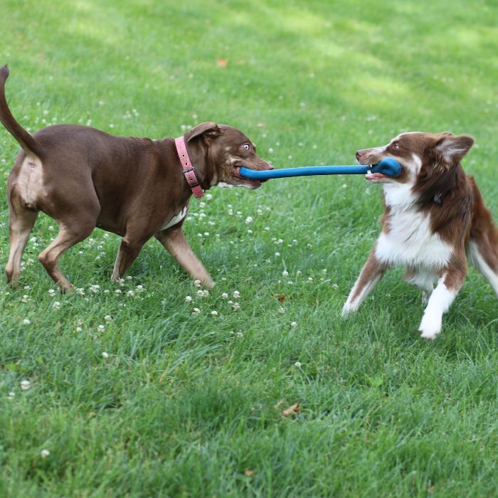 Photo of The Perfect Tug Toy by ShockStrap - Premium for UTVs / Side by Sides
