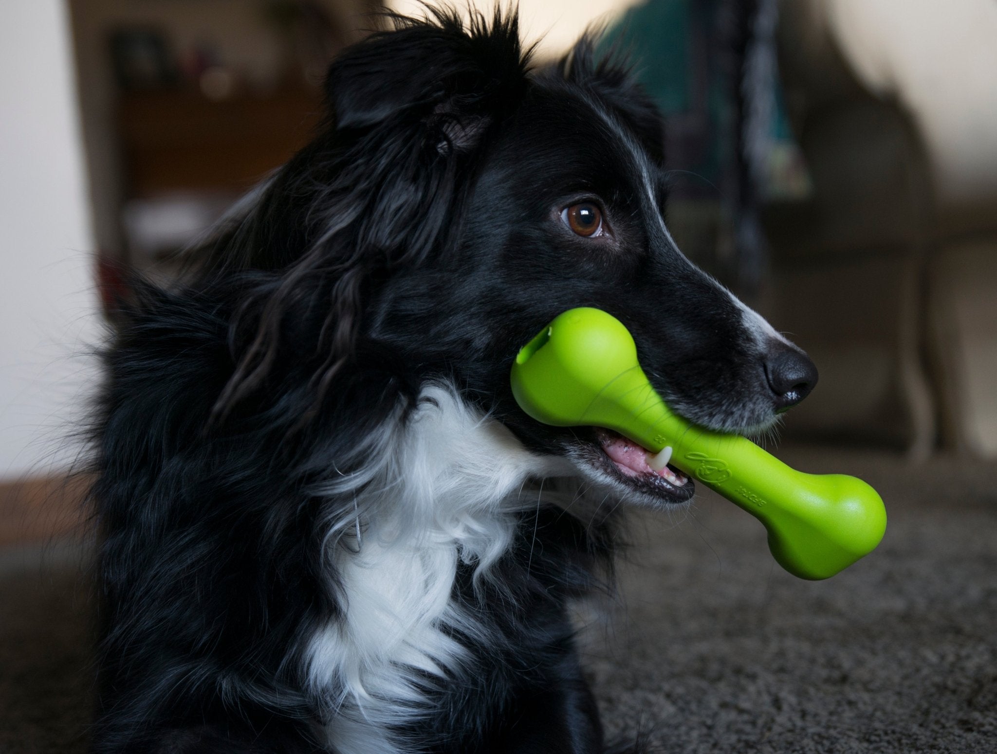 Photo of The Treat Bone by ShockStrap - Premium for UTVs / Side by Sides