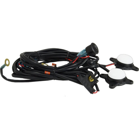 Photo of MOTORCYCLE LED BAGGER KIT by Vision X Off-Road - Premium LED Accent Light for UTVs / Side by Sides