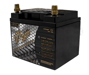 Platinum Series AGM 1200 Battery |  R1 Industries | UTV Stereo.