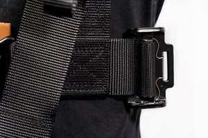 H2L 4-Point Standard-Latch Harness |  R1 Industries | UTV Stereo.