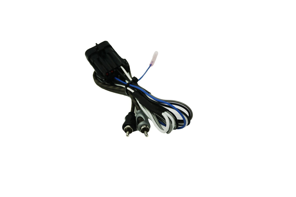 RZR® Ride Command Amplifier Harness + Remote |  R1 Industries | UTV Stereo.