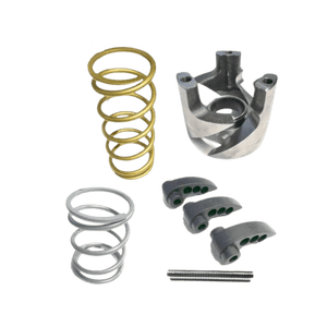 Polaris RZR Pro XP Stage-3 Clutch Kit (2020) - R1 Industries