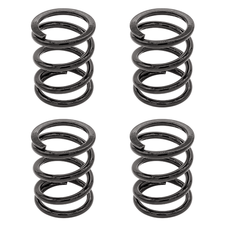 Polaris RZR Dynamix (Not Turbo S) (2 & 4 Seater) Tender Spring Swap Kit (2019+) - R1 Industries