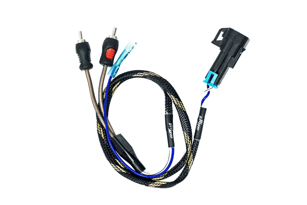 RZR® Pro Series Ride Command Subwoofer RCA Output Harness + Remote |  R1 Industries | UTV Stereo.