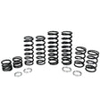 Polaris Rzr Turbo S 4 Stage 1 Dual Rate Spring Kit (w.E. Velocity Shock) |  R1 Industries | Zbroz Racing.