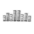 Polaris Rzr Pro R 4 Walker Evans Stage 1 Spring Kit (2022-2023)