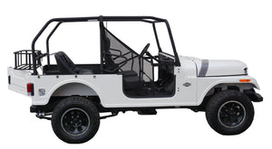 ROXOR Roll Cage (2018-2024)