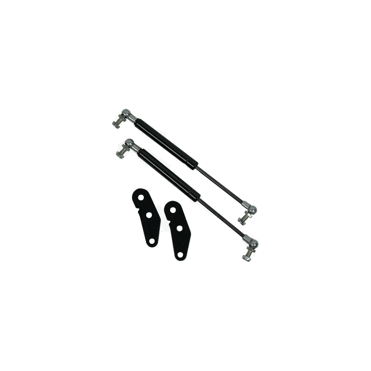 Can Am X3 Door Strut Kit